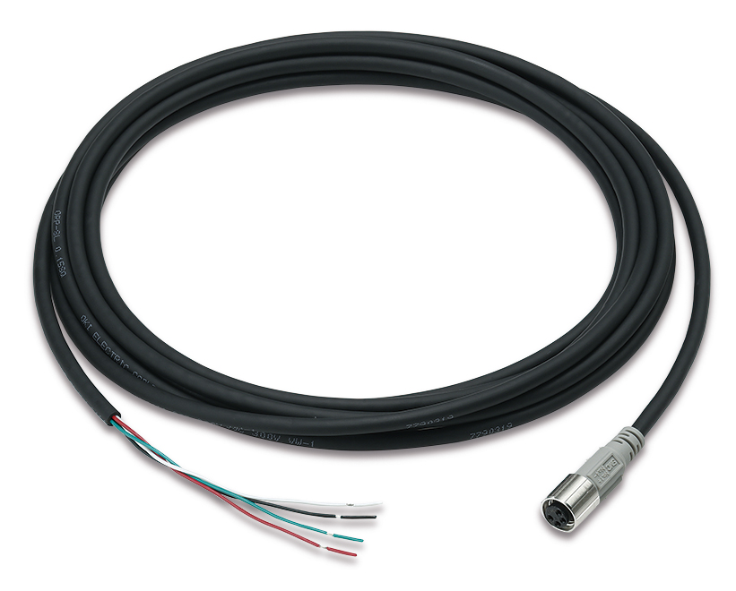 IZG10-CP